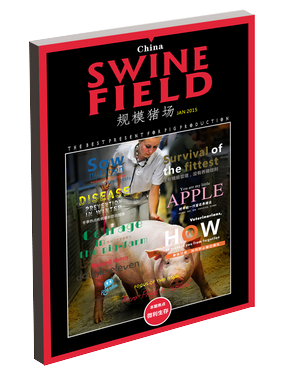 swine field 201501