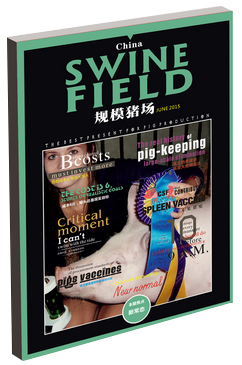 swine field 201505
